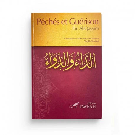 Péchés et guérison - Ibn al Qayyim al Jawziyya